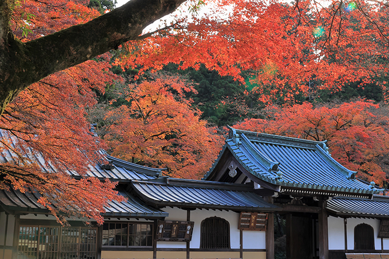 大雄山　最乗寺