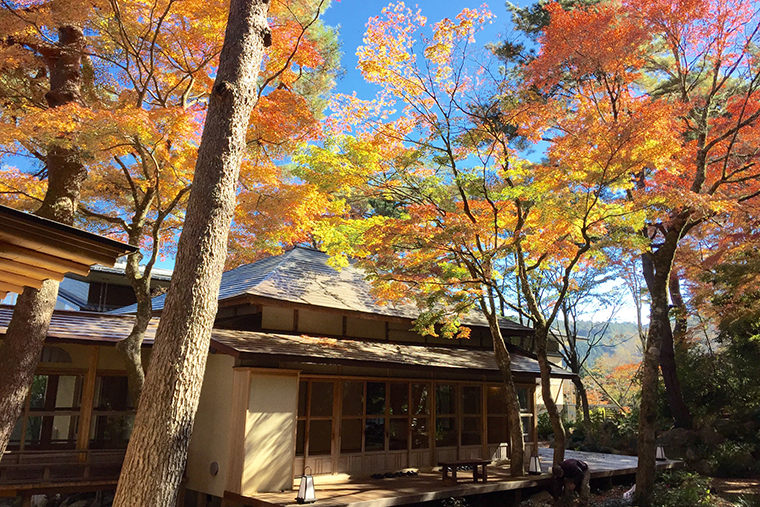 岡田美術館 紅葉
