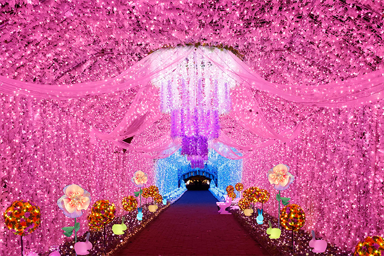 時之栖イルミネーション