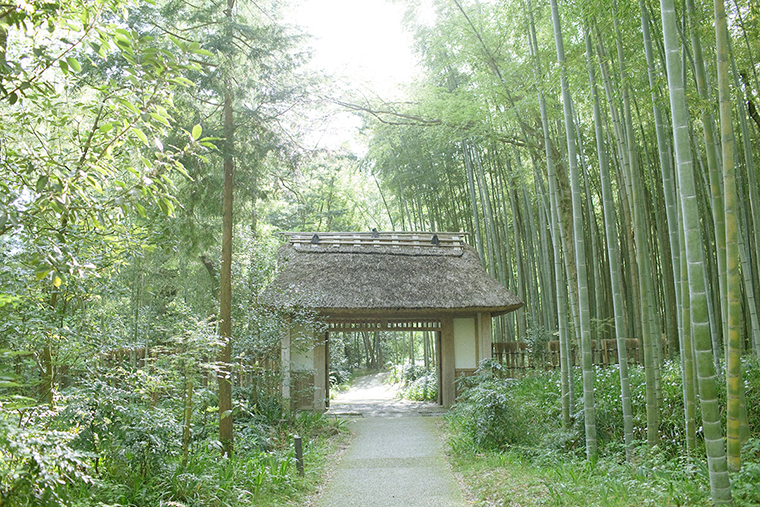 とらや工房 竹林