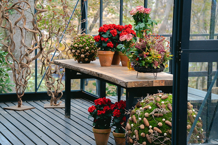 ニコライバーグマン　クリスマス