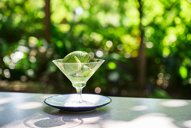 カフェテラッツァ うかい 抹茶アイス