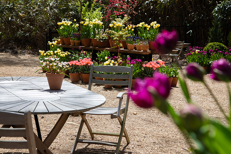 ニコライバーグマン　ガーデン