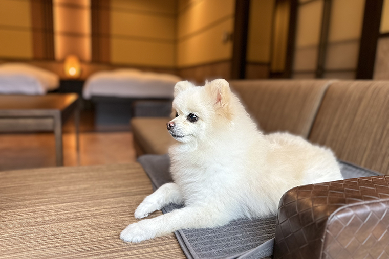 ”同伴ルーム”